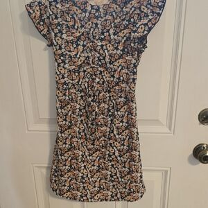 Blush Blue and Brown Ruffled Sheath Dress